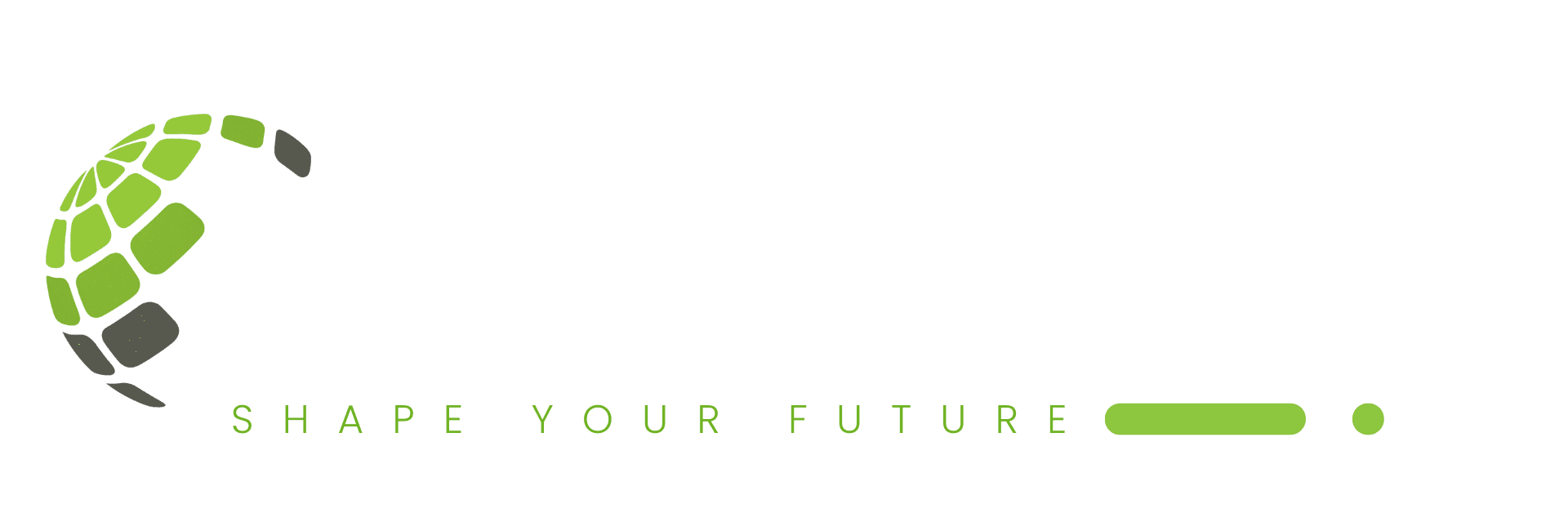 SkillForm Group